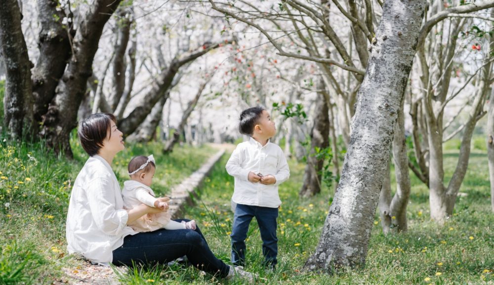 桜と日常（公園編）と今後の撮影について
